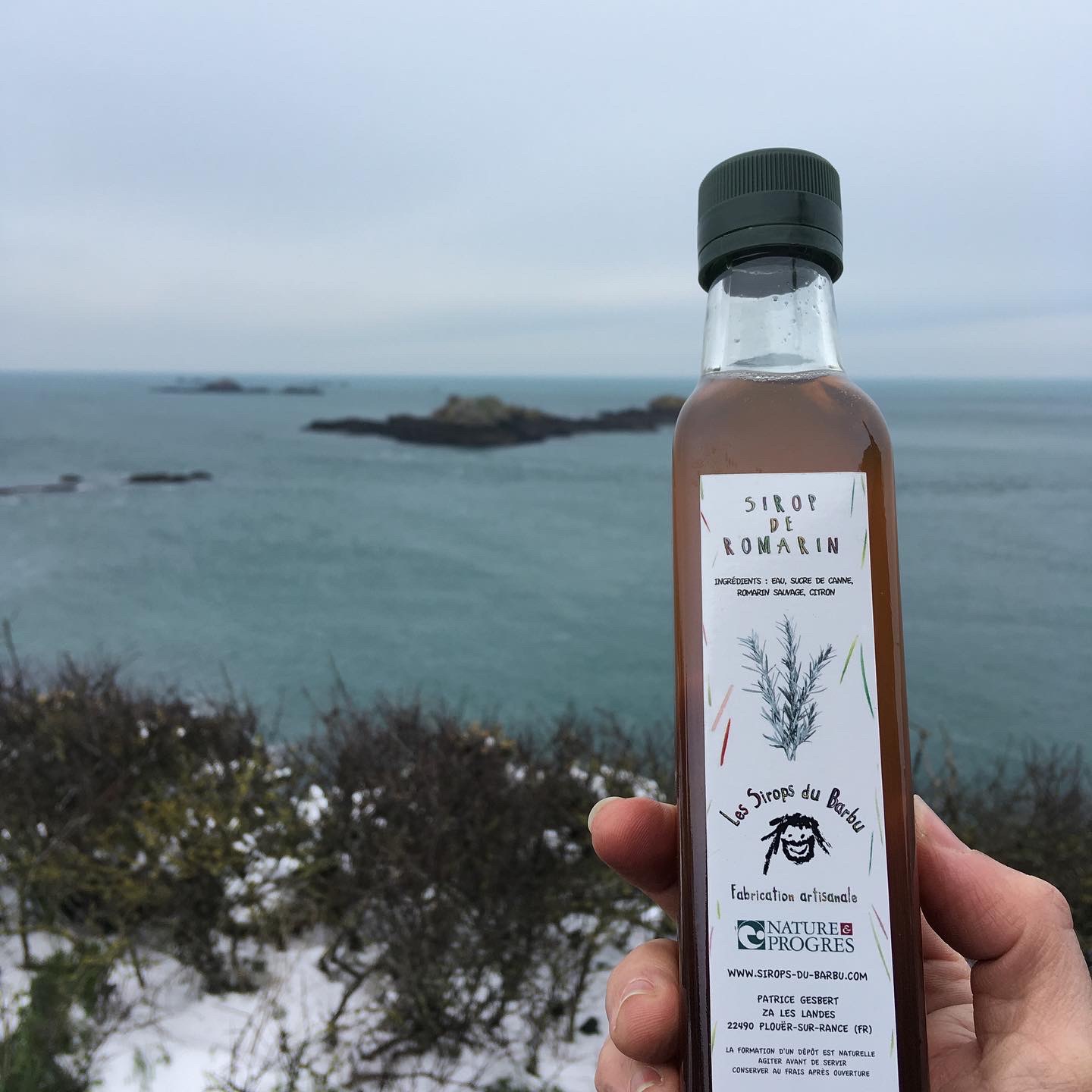 Sirop de romarin biologique - Plantes sauvages - Les Sirops du Barbu - Fabrication artisanale française