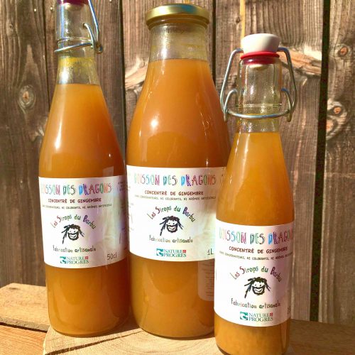 BOISSON DES DRAGONS (concentré de gingembre)