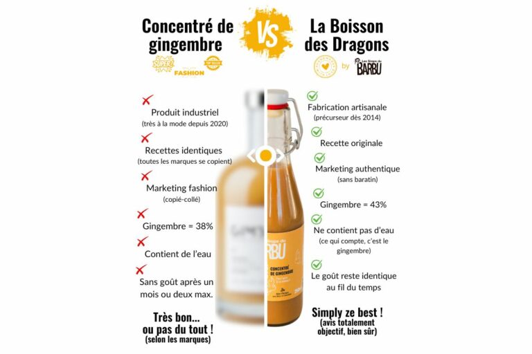 Lire la suite à propos de l’article Concentré de gingembre hyper fashion VS La Boisson des Dragons