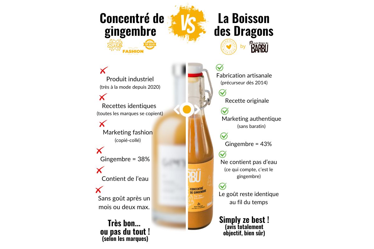 You are currently viewing Concentré de gingembre hyper fashion VS La Boisson des Dragons