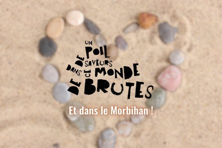 Lire la suite à propos de l’article I love Morbihan