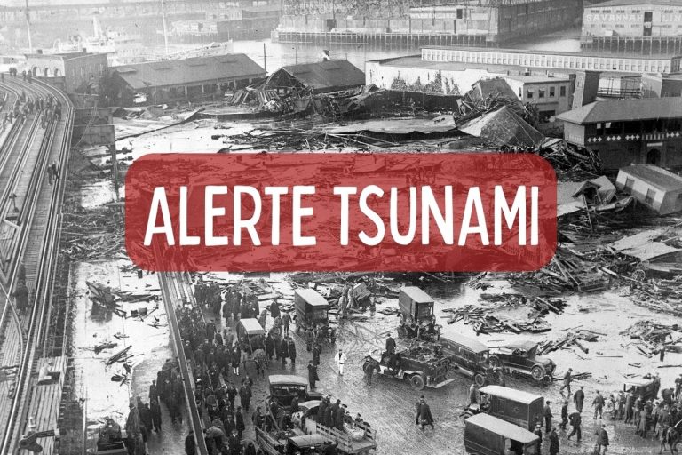 Lire la suite à propos de l’article Imaginez un tsunami de sirop