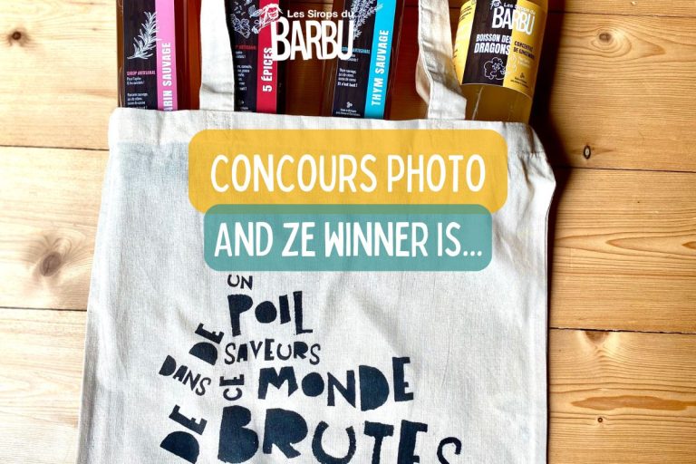Lire la suite à propos de l’article Concours photo : and ze winner is…